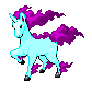 NeonRapidash.png