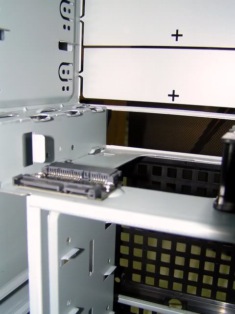 P1010031.jpg