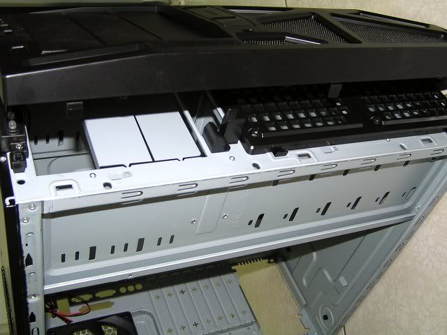 P1010035.jpg