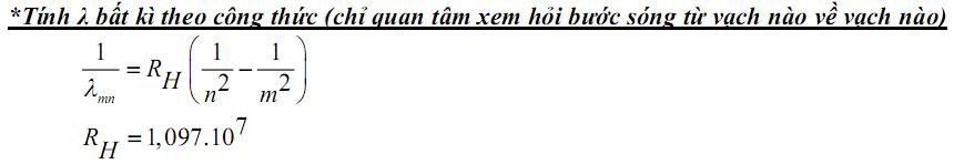 222.jpg