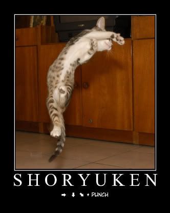 shoryuken-1.jpg