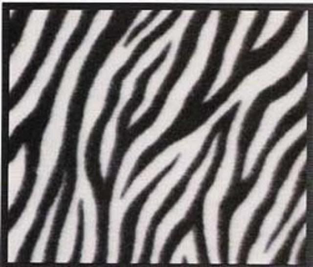 zebra print background Image