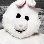 The_Bunny.jpg
