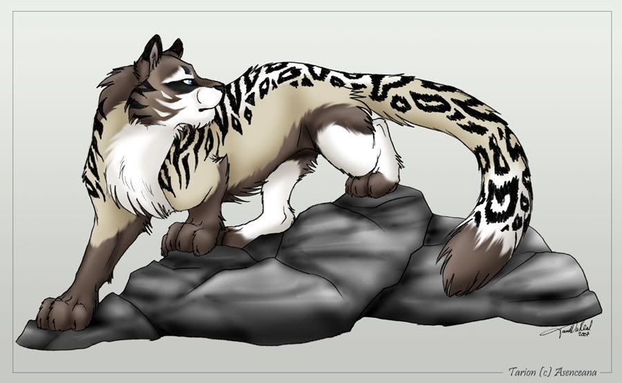 Obrázok “http://i172.photobucket.com/albums/w16/Miko108/Cat%20Anime/Tarion_for_Asenceana_by_TaniDaReal.jpg” sa nedá zobraziť, pretože obsahuje chyby.