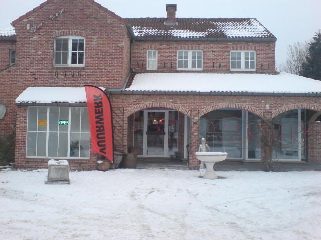 DSC01156.jpg