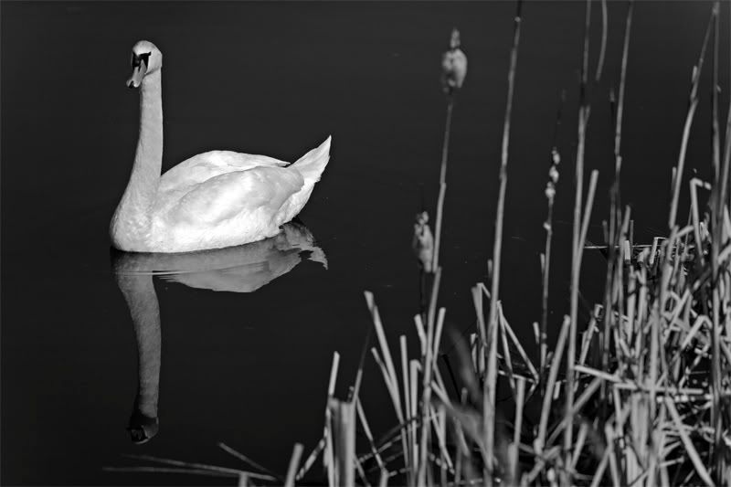 IMAGE: http://i172.photobucket.com/albums/w16/sodjdobe/Narava/IMG_0244.jpg