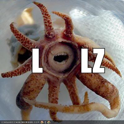 funny_pictures_lol_squid_LOL-s399x4.jpg