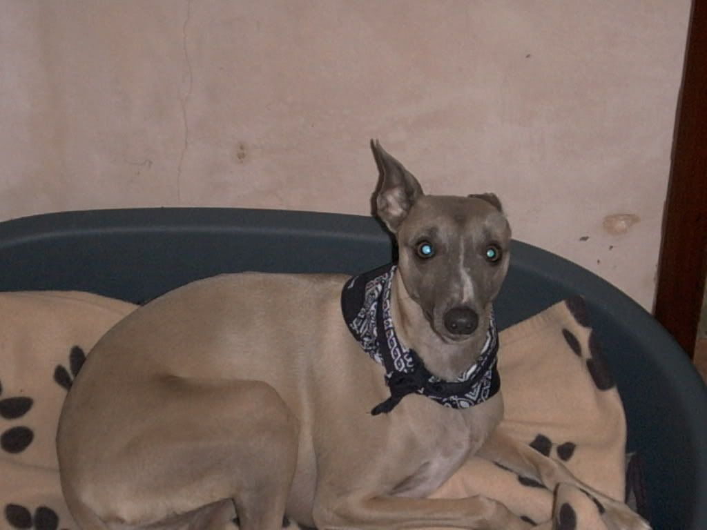 PICT0042.jpg