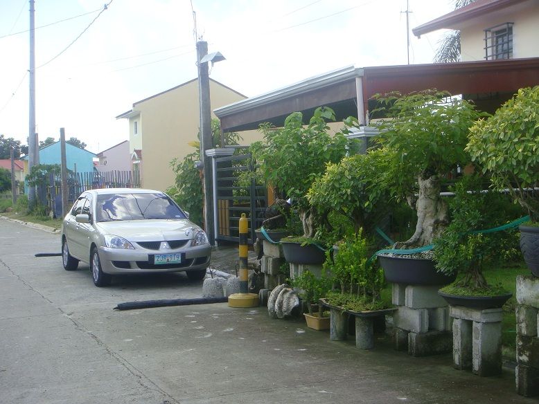 External Image