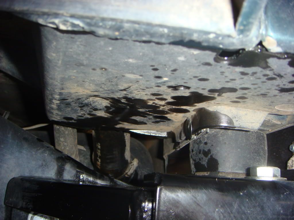 Leaking....brake fluid? (pictures)