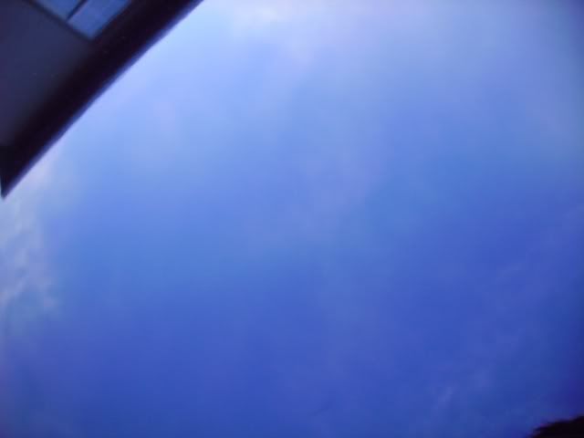 IMGP0588.jpg