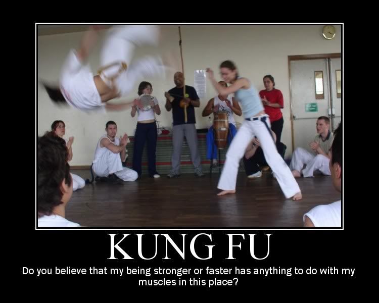 http://i172.photobucket.com/albums/w19/figmentPez/Motivational%20Posters/KungFuMotivator.jpg