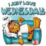 WEDNESDAY.jpg