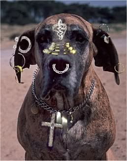 Goth Dog