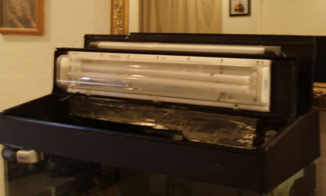 eclipse aquarium hood