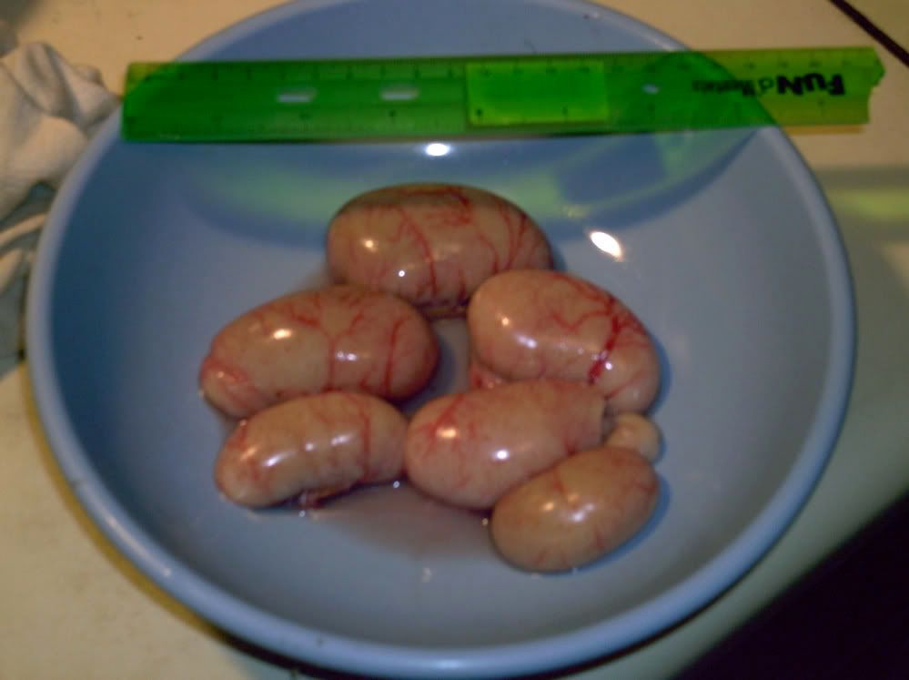 Chicken testiclesWarning. Pictures of raw meat.