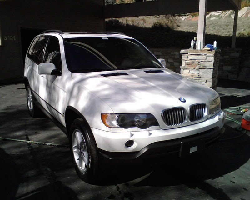 110-11-20072-50-29PM.jpg