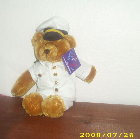 Navy Bear