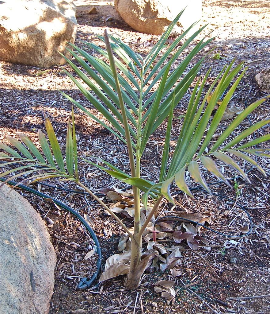 DSC_3164.jpg
