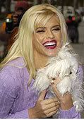 Anna Nicole