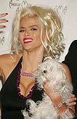 Anna Nicole