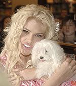 Anna Nicole