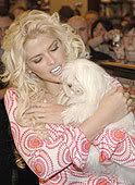 Anna Nicole
