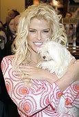 Anna Nicole