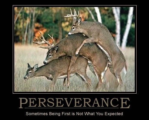 Funny Sign Wrestling on Perseverance Graphics Code   Perseverance Comments   Pictures