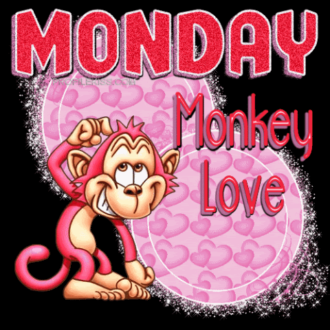 Monday Monkey love Pictures, Images and Photos
