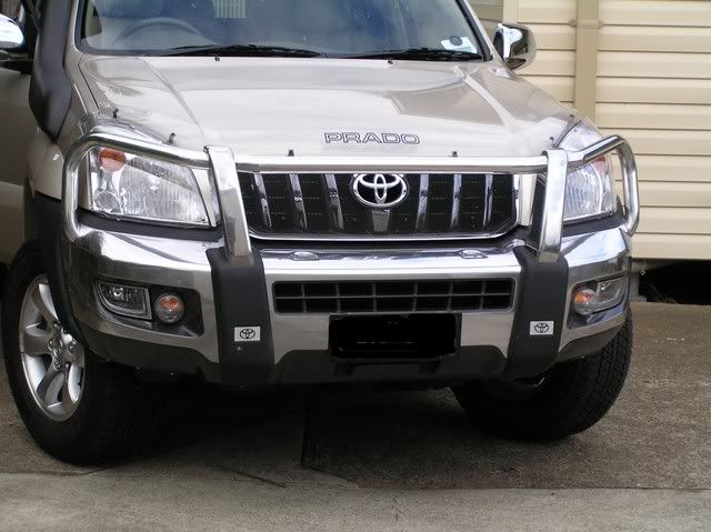 Prado Bonnet Protector