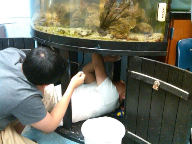 IMG-20110319-00012.jpg