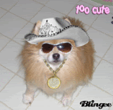 Posted Image