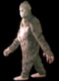 Sasquatch2a.jpg