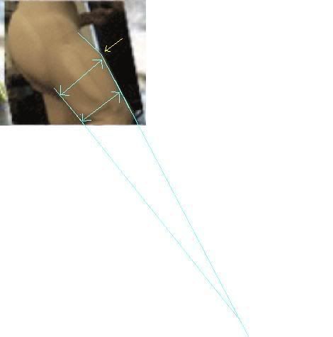 PadLegs1crop1.jpg