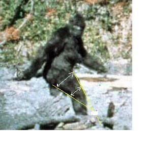 PatLeg1lined.jpg