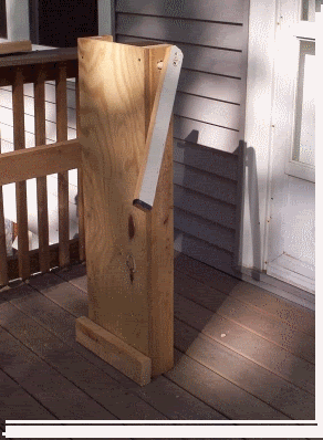 ASDOUTFrame3.gif