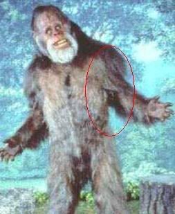 bigfoot03c.jpg