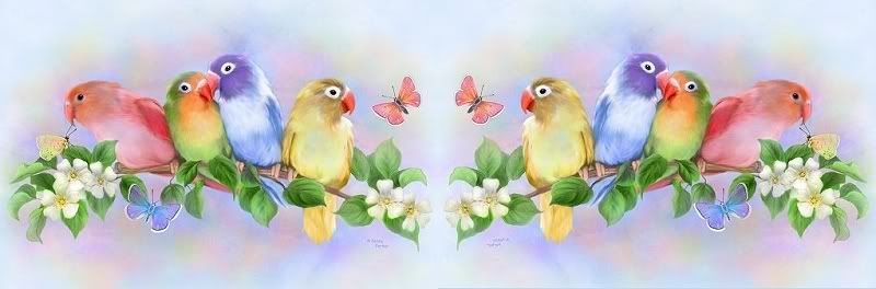 vogeltjes.jpg bloemen image by roxy0711_2007