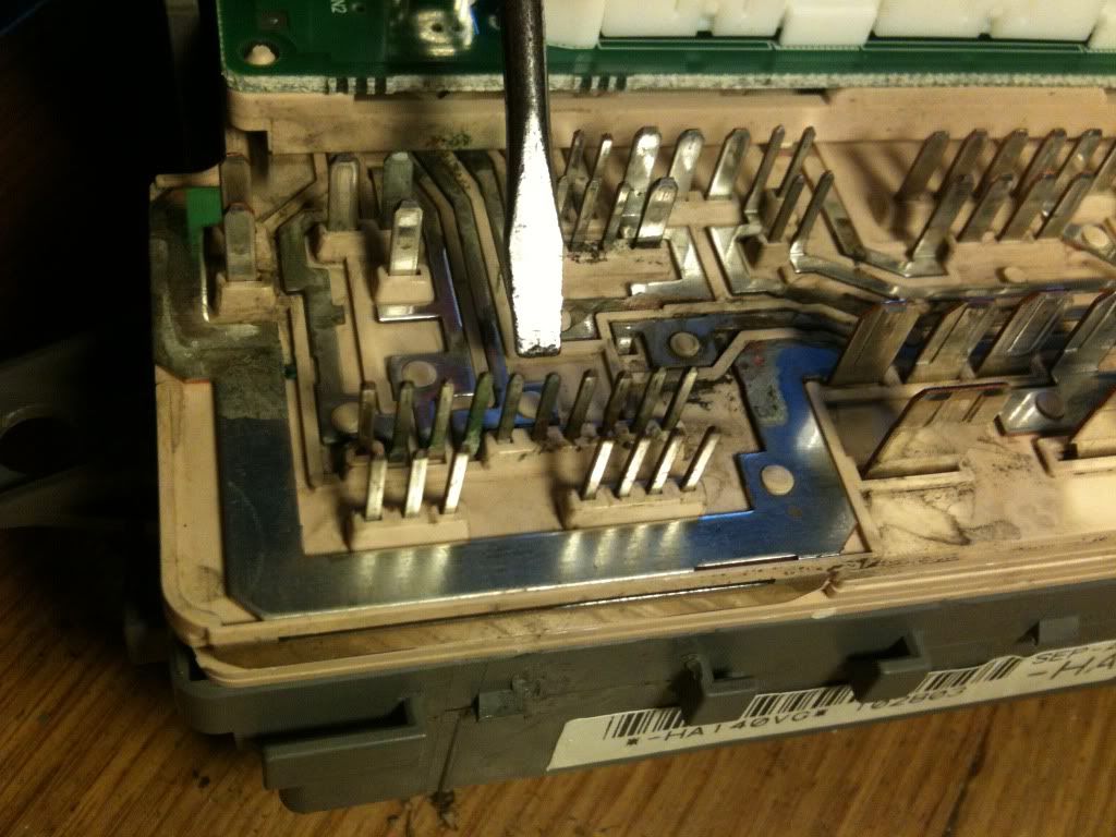 Just pulled the fuse box and opened it up to find this: