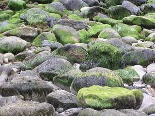 Steephill Cove Ventnor IOW