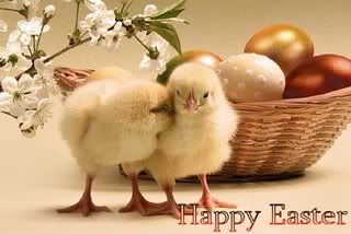 easter chicks Pictures, Images and Photos
