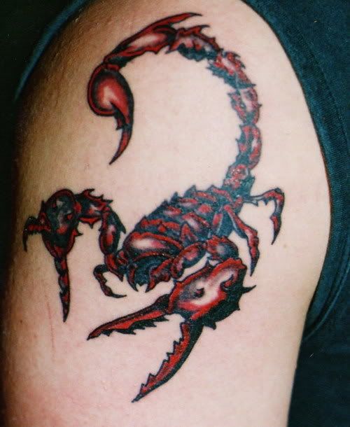 Cheap Scorpion Tattoos Arm Place