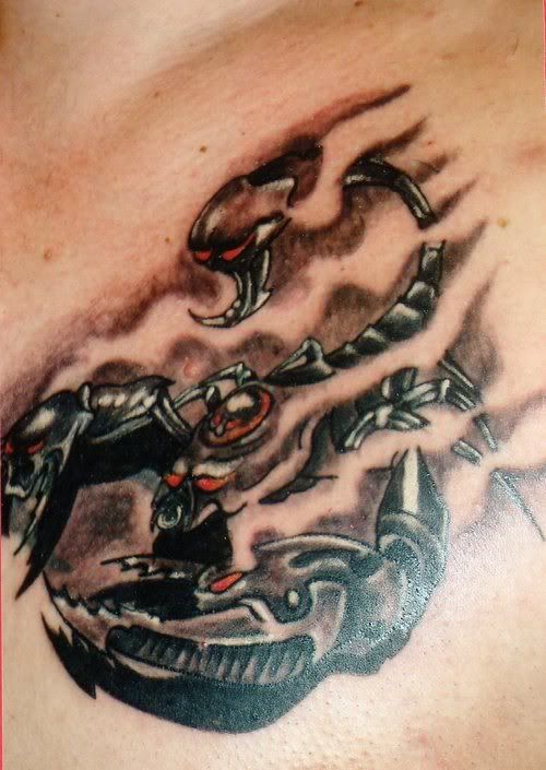 Permanent Scorpion Tattoos Extreme Design