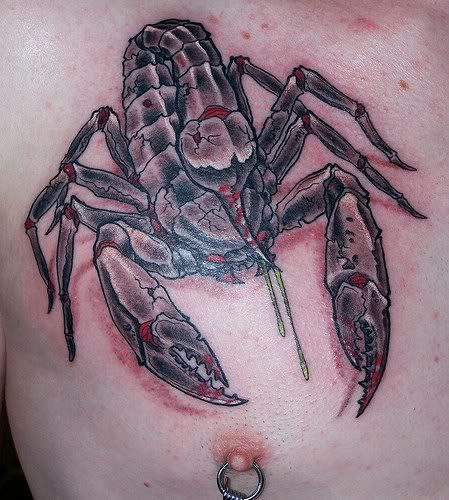 Scorpion Tattoos Gallery Permanent Art Design
