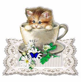petkittyinT-cupani2.gif