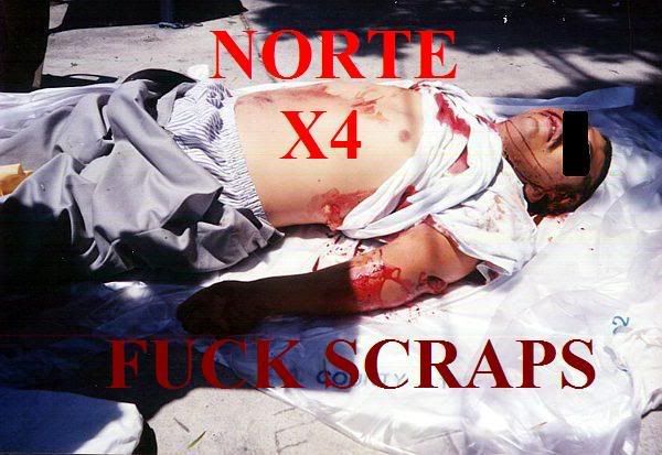 NORTE SUR  SCRAPS XIV XIII SOUTH SIDE NORTH SIDE