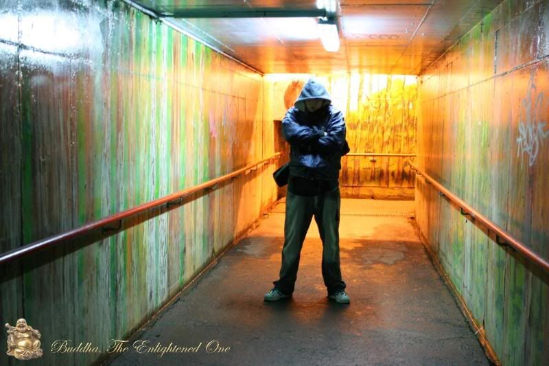 Photobucket Image Hosting