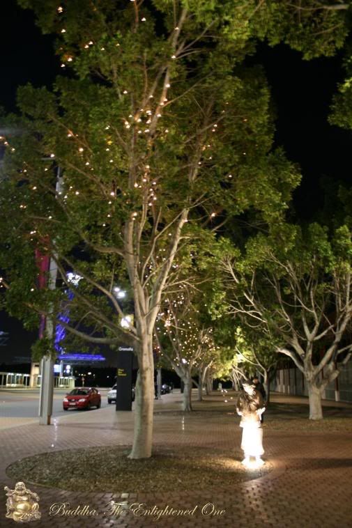 Photobucket Image Hosting