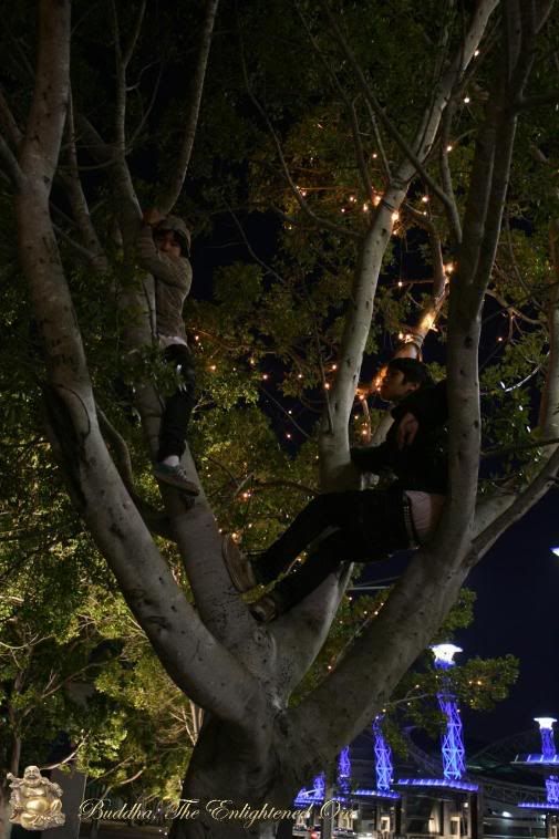 Photobucket Image Hosting